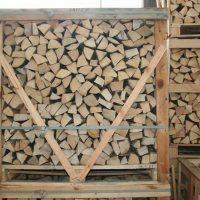 Kaminholz Palette Weissbuche