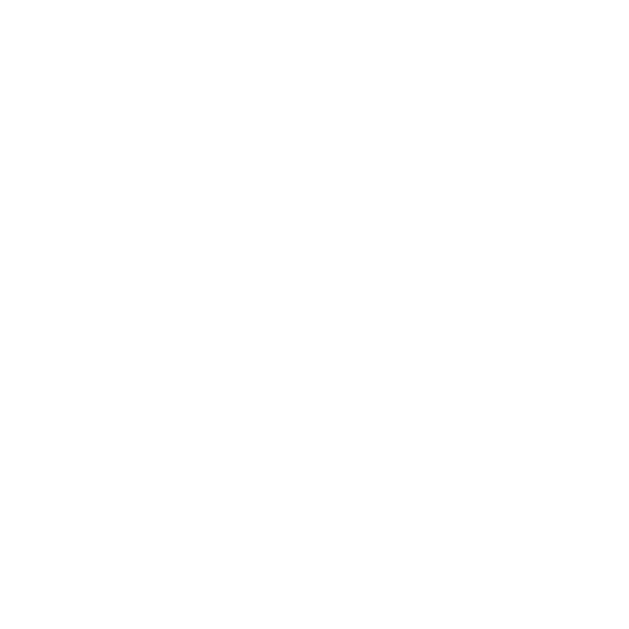 Kaminholz Esche – Palette mit 1 Raummeter (m³)